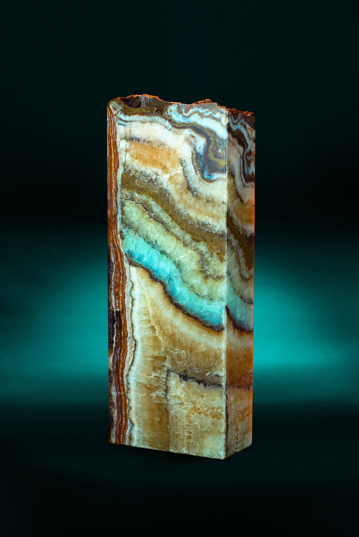 Oasis Rectangular Live Edge Table Lamp - REVELARÉ