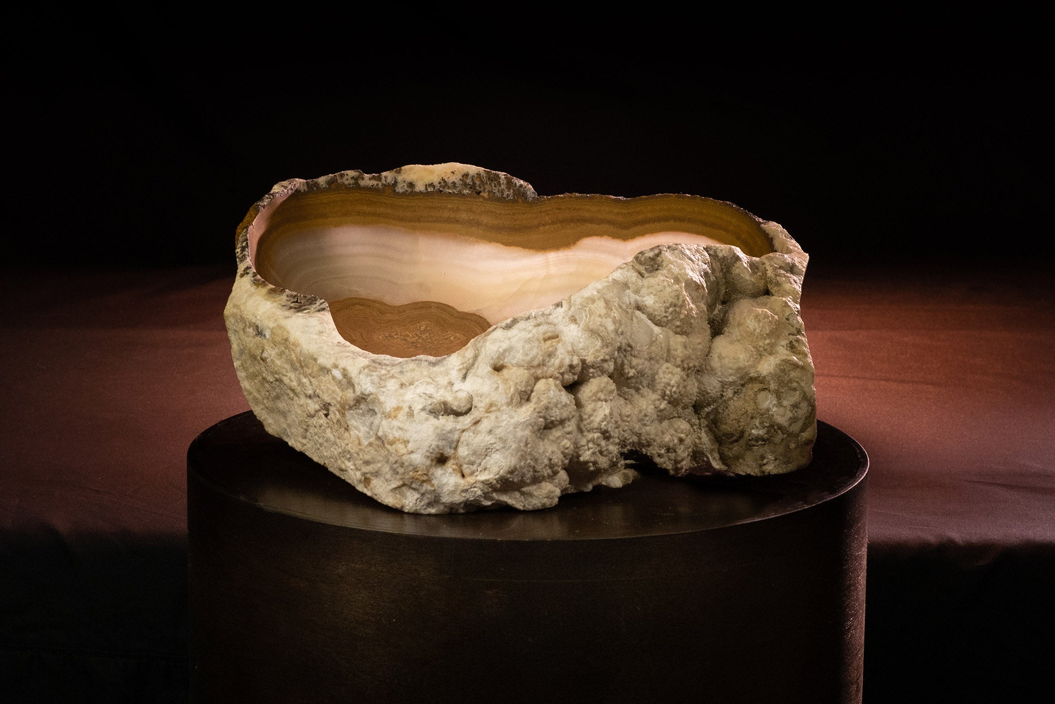 Zion Bowl Medium Live Edge - REVELARÉ